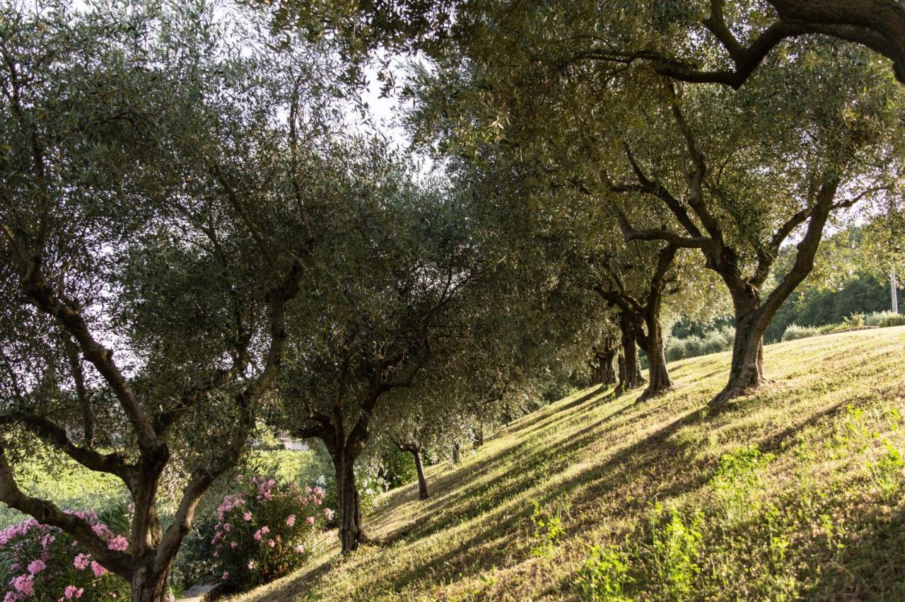 Agriturismo Ca' Cristane Rivoli Veronese Exterior foto